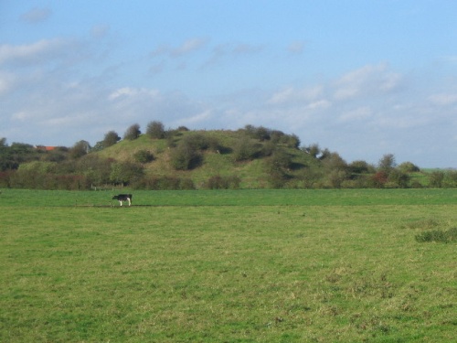 Skipsea Castle