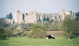 Arundel Castle