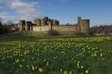 Alnwick Castle