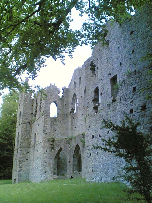 Tyrrellspass Castle