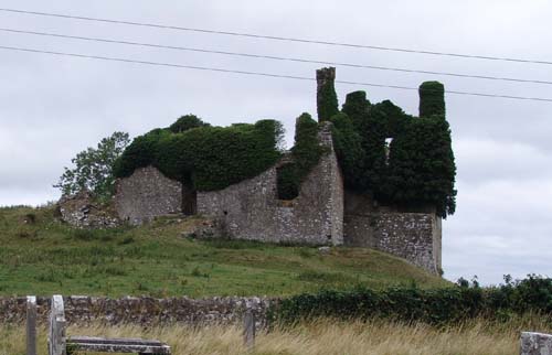 Trim Castle