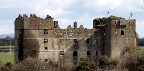 Roscrea Castle