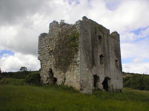 Tully's Castle