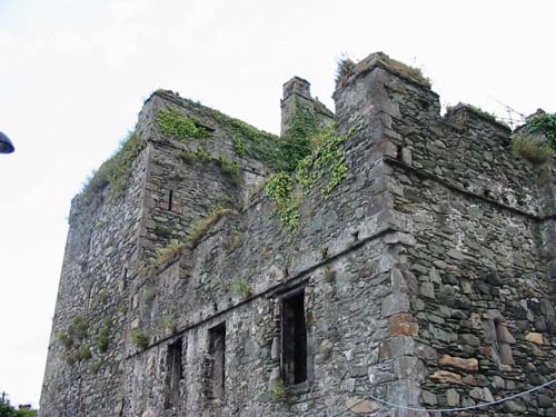 Narrow Water Castle