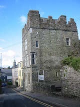 Desmond Castle