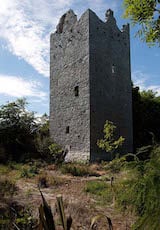 Ballintotis Castle