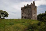 Ballynamona Castle