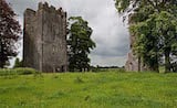 Burnchurch Castle