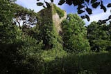 Dunmahon Castle