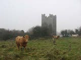 Dunmahon Castle