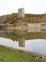 Ferrycarrig Castle