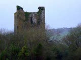Kilcrea Castle