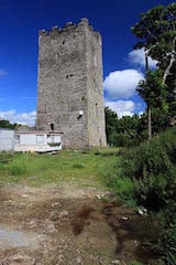 Kilgobbin Castle