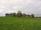 Ringfort