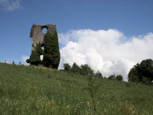 Redwood Castle