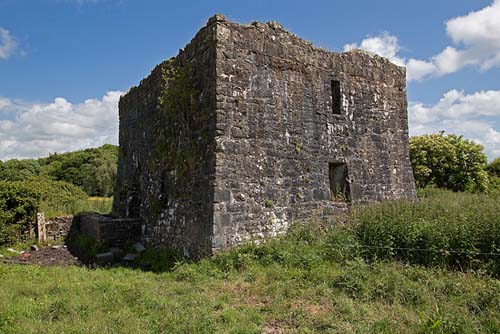 Wallstown Castle