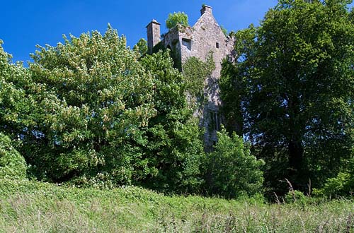 Wallstown Castle