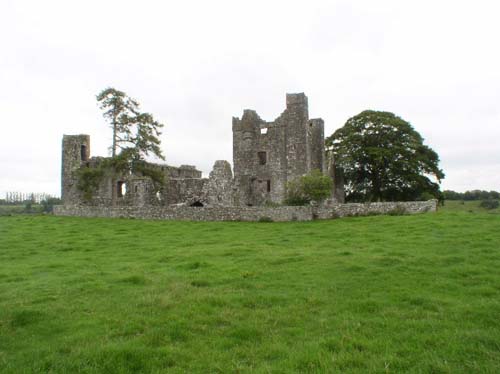 Trim Castle