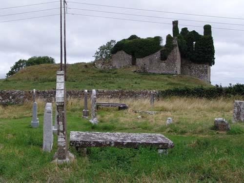 Trim Castle