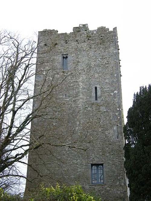 Roscrea Castle