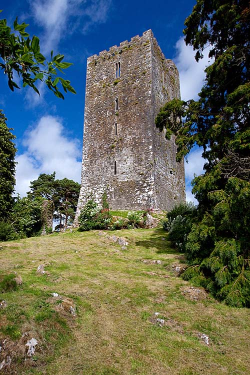 Wallstown Castle