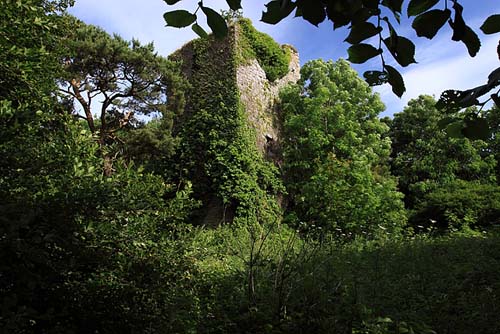 Wallstown Castle