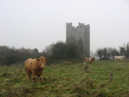 Narrow Water Castle