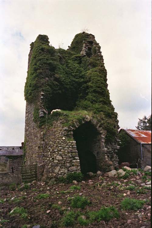 Taghmon Castle