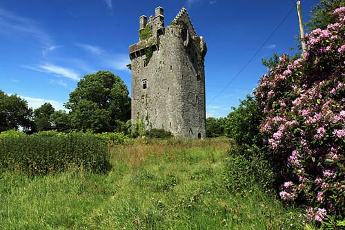 Wallstown Castle