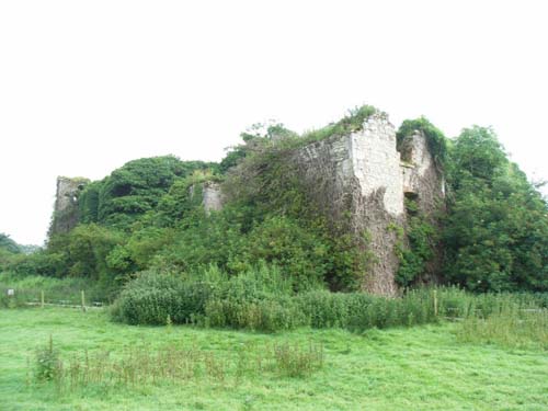 Trim Castle