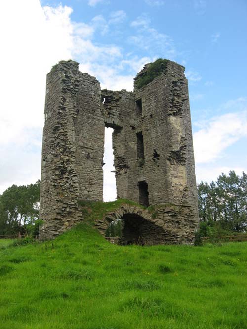 Trim Castle