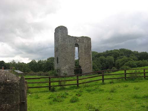 Trim Castle