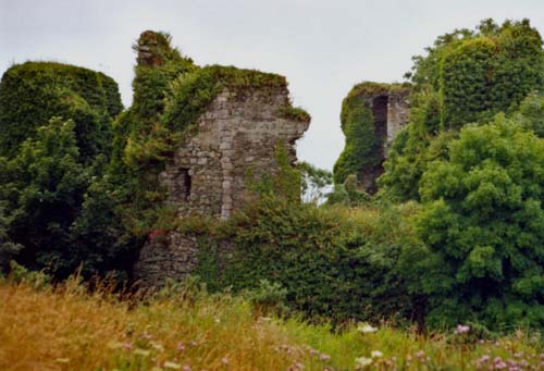 Dunluce Castle