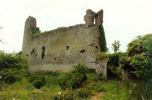 Roscommon Castle