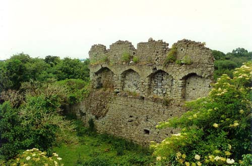 Roscommon Castle