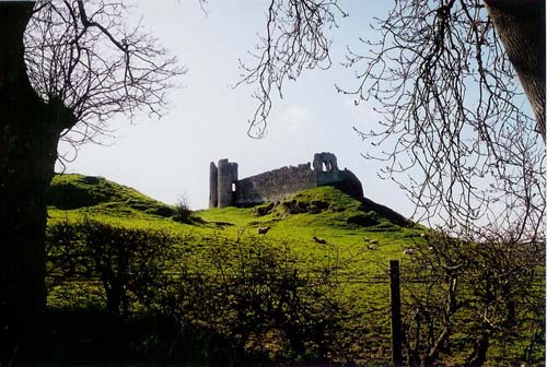 Narrow Water Castle