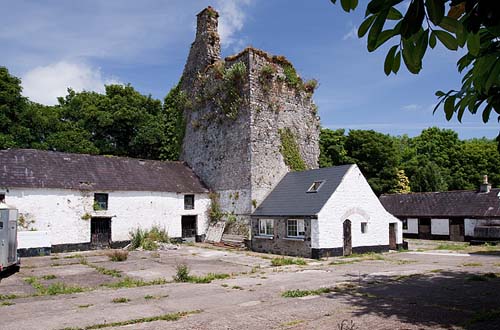 Mallow Castle