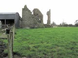 Salterstown Castle