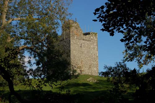 Strangford Castle