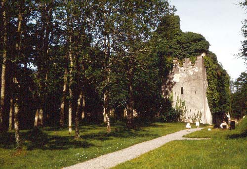 Tully Castle