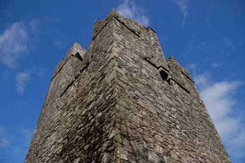 Strangford Castle