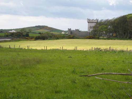 Strangford Castle