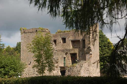 Strangford Castle