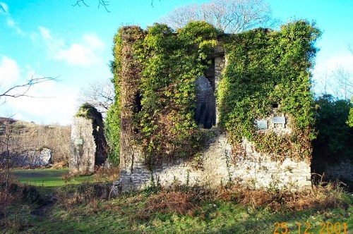 Swansea Castle