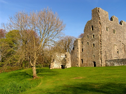 Weobley Castle